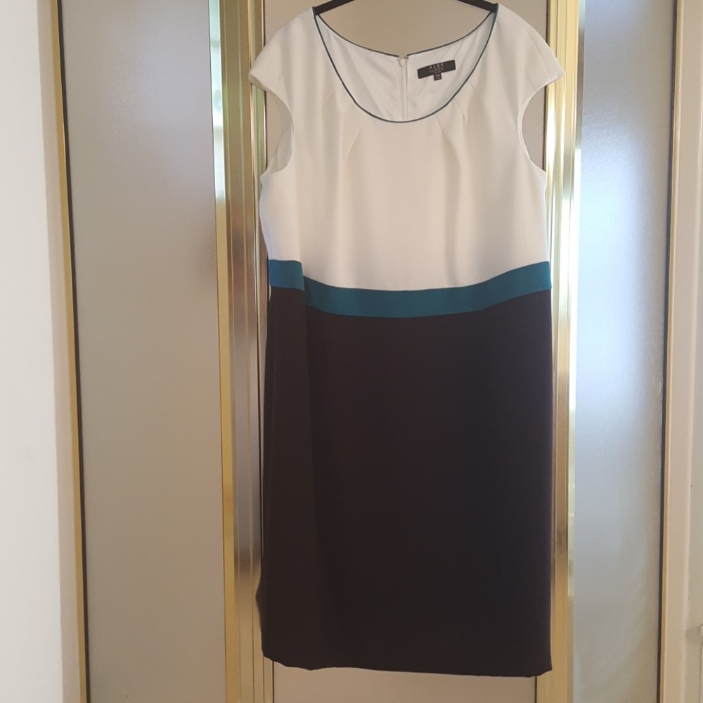 Alex Marie beautiful color block dress